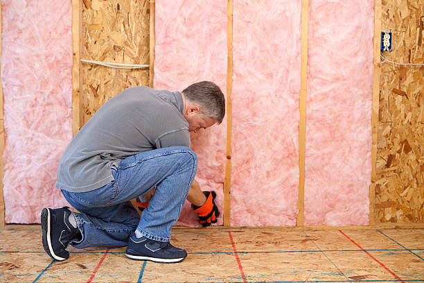 Best Garage Insulation Installation  in Brownsburg, IN