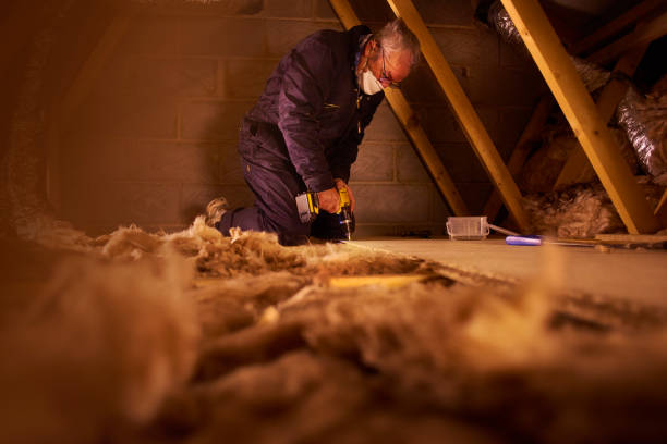Best Crawl Space Insulation  in Brownsburg, IN